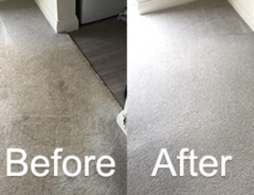 Cleaning Dirty Carpets Great Eccleston – Read More Here