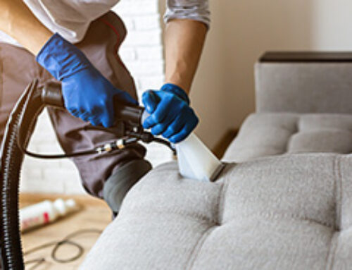 How to Clean Upholstery – Read More Here