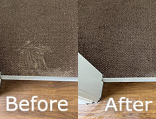 Removing Sick Stains – Read More Here