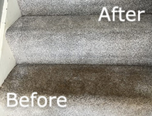 Reputable Carpet Cleaning