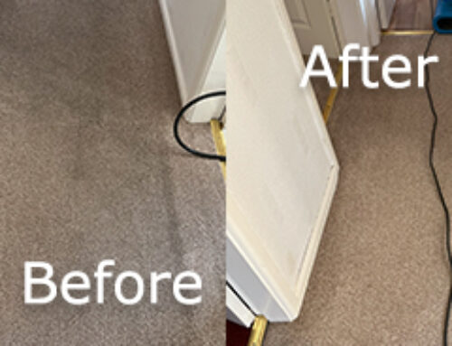 Carpet Steam Cleaning Thornton-Cleveleys – Read More Here