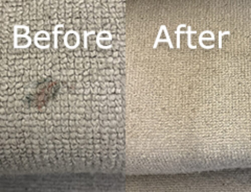 Removing Sticky Stains from Carpets – Read More Here